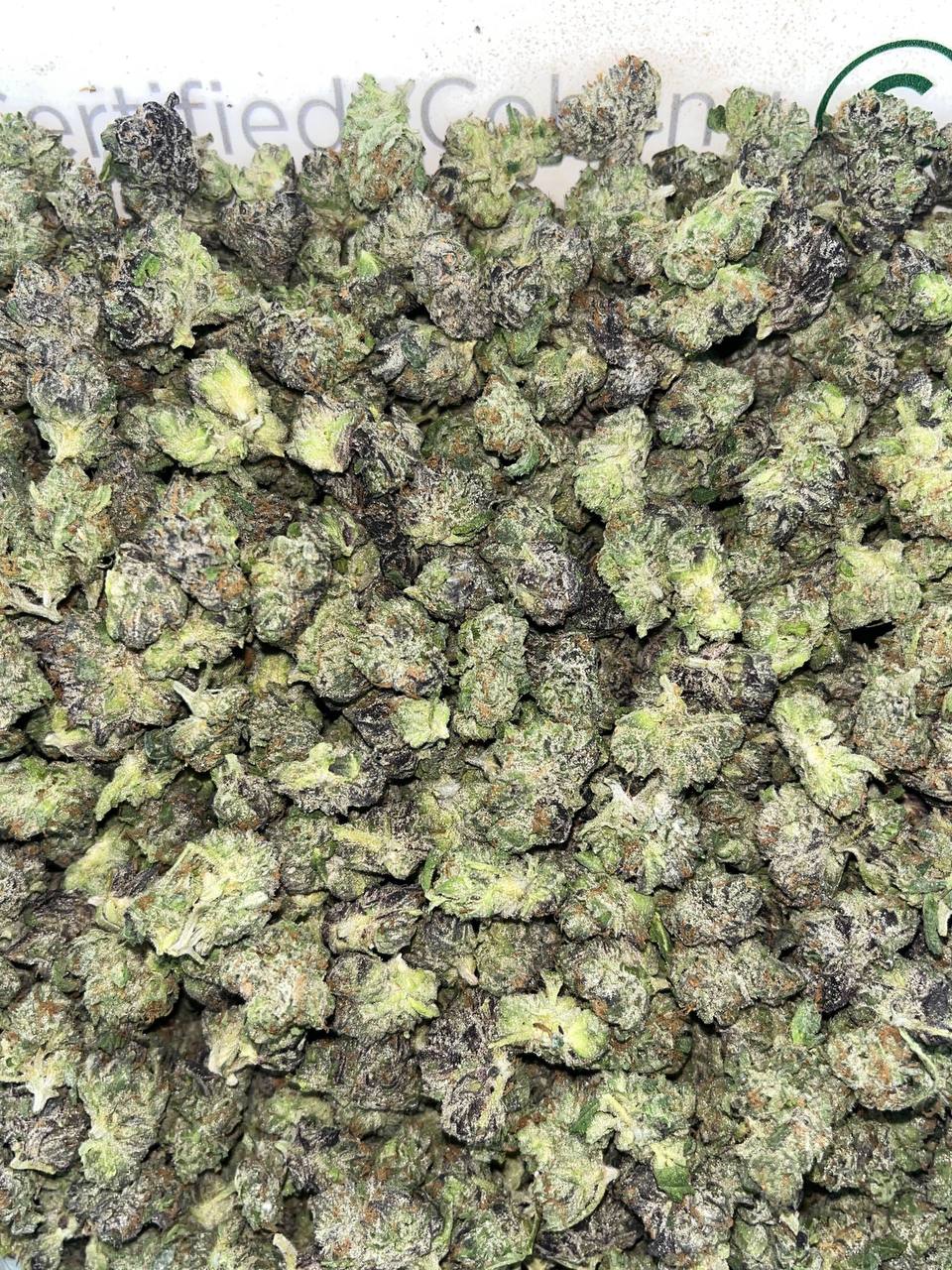 Alaskan Thunder Smalls