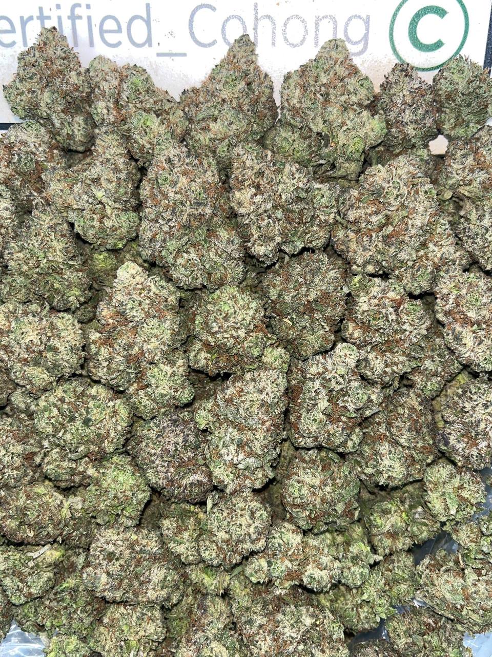 Animal Mints