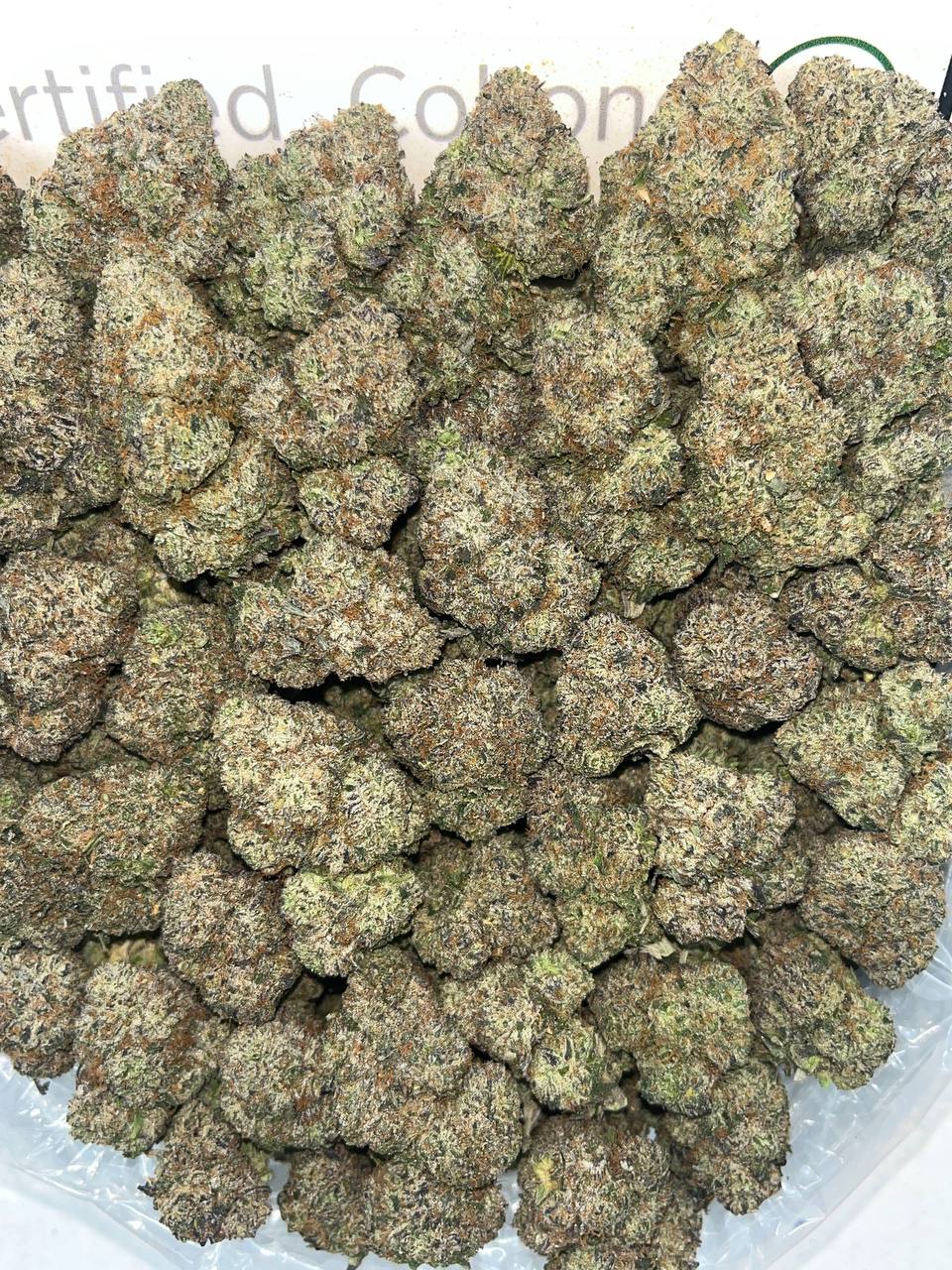 Blizzard Cookies