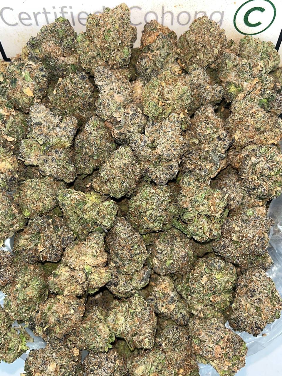 Double Up Pack