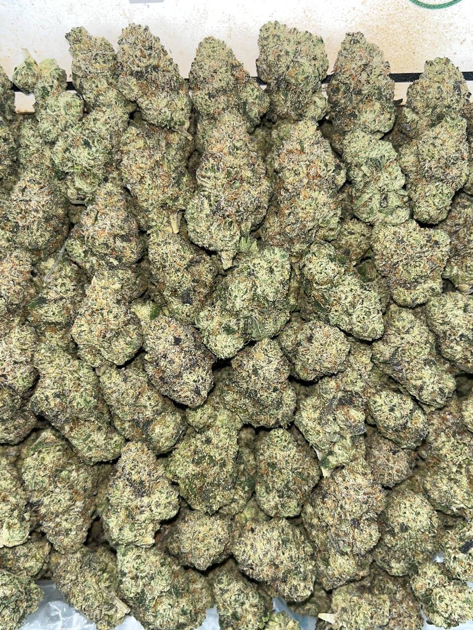 Honey Gushers