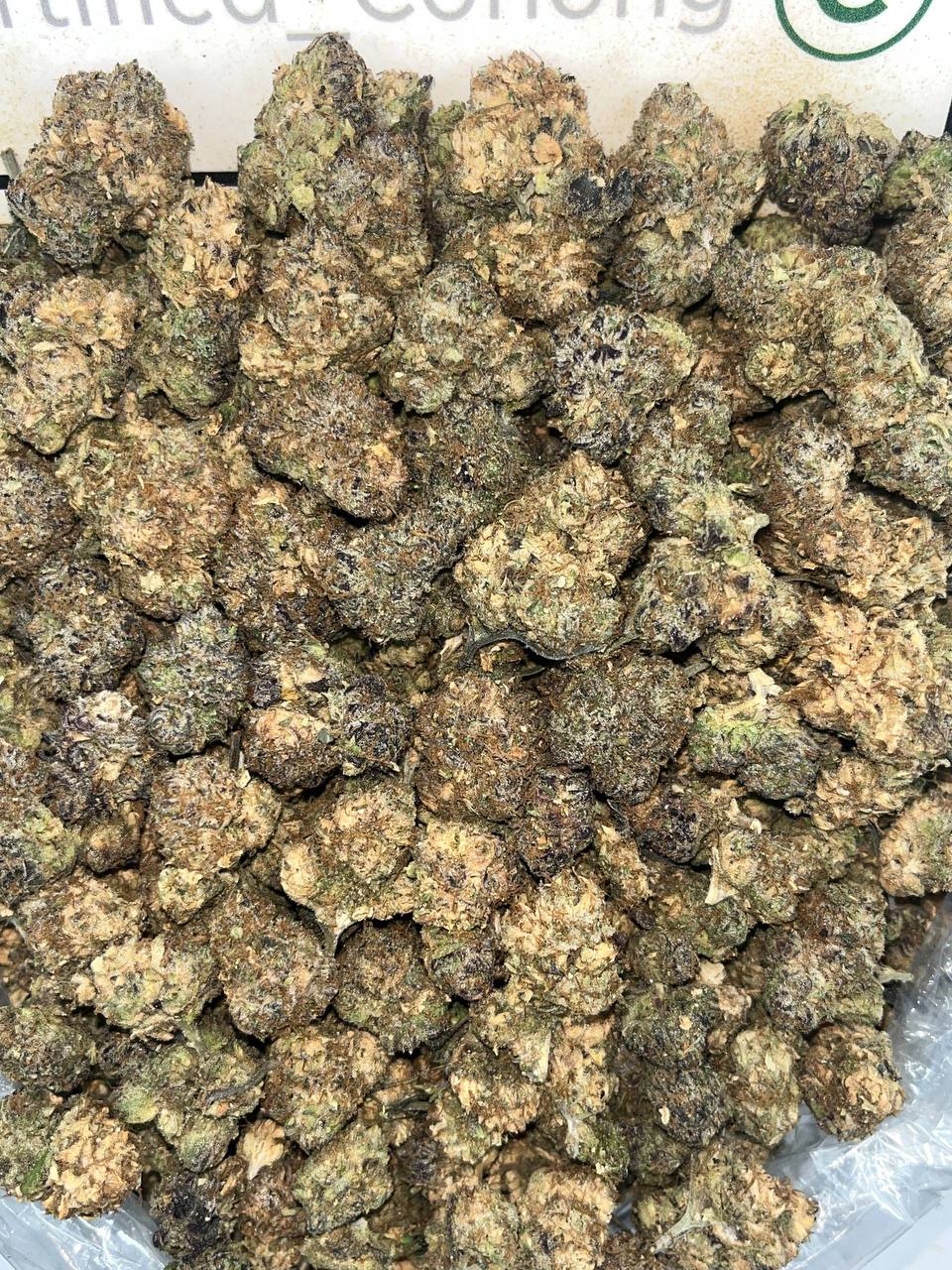 Lemon Haze
