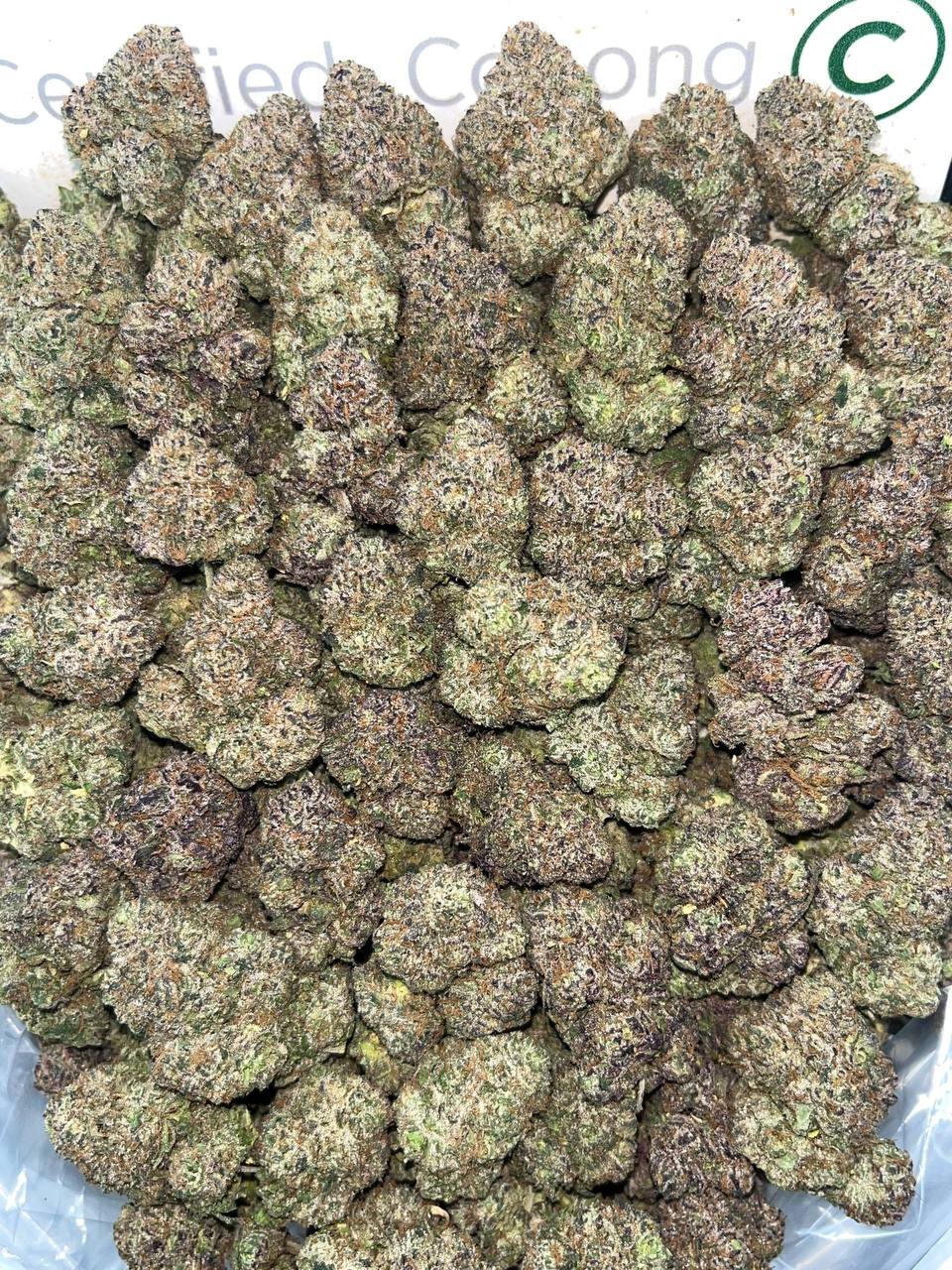 Mango Sherbert