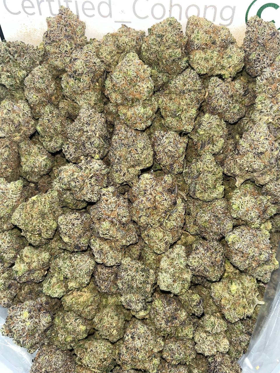 Miami Fire