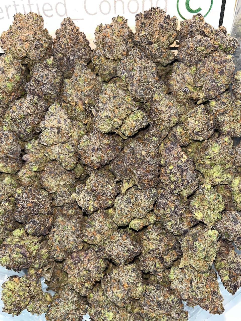 Rainbow Zkittles