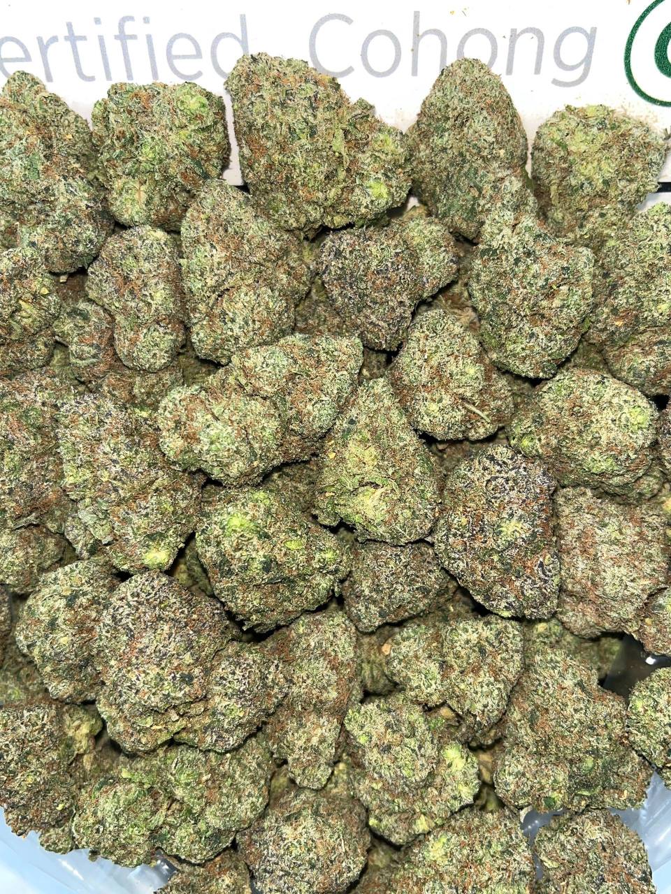 Sour Patch Kids