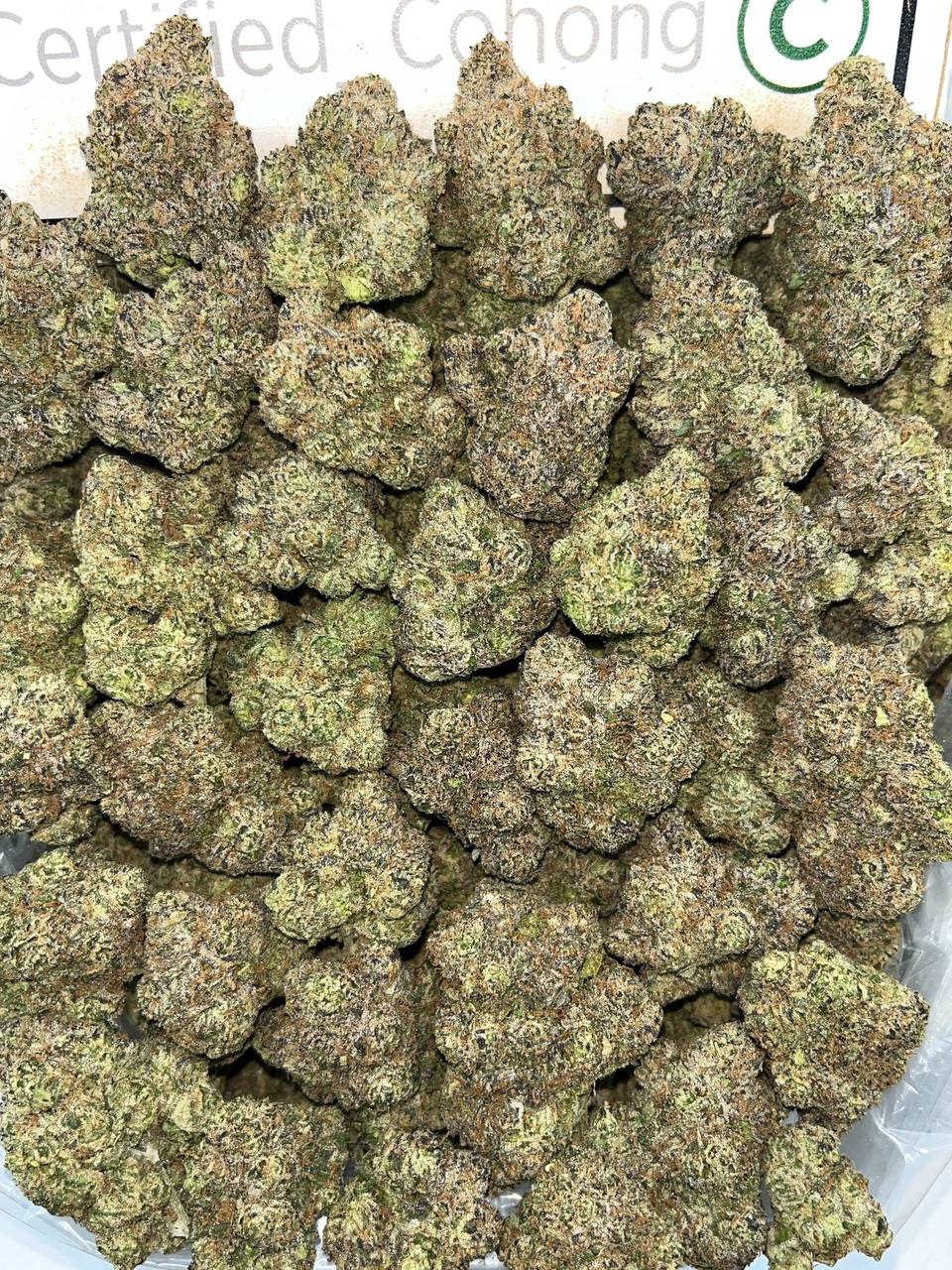 Sour Skittlez