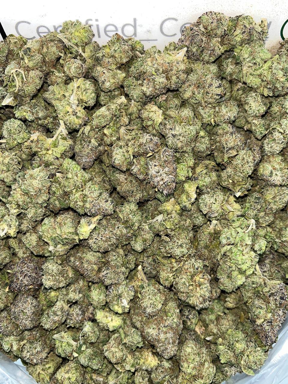 Sticky Kryptonite Meds