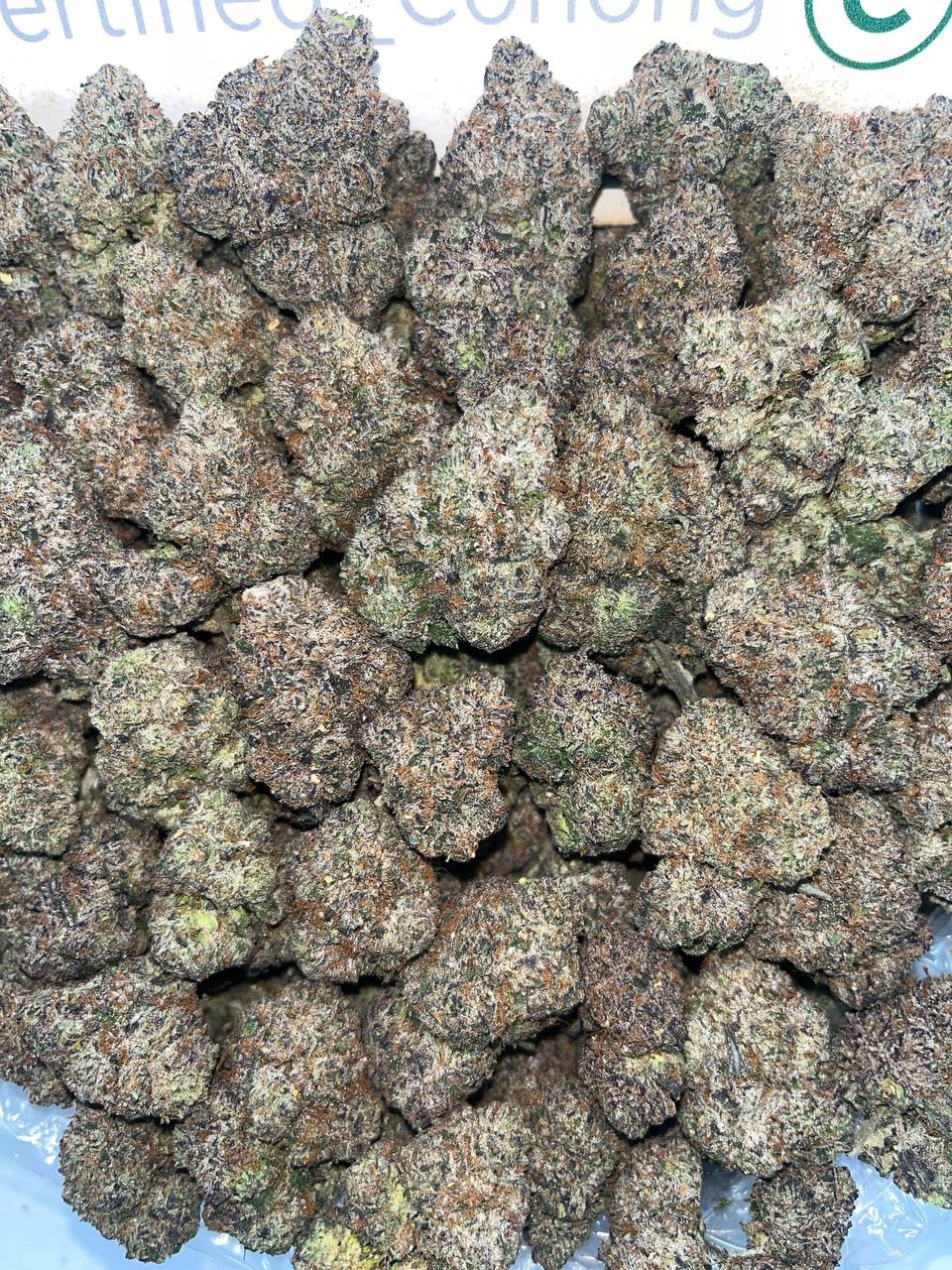 Stoner Club