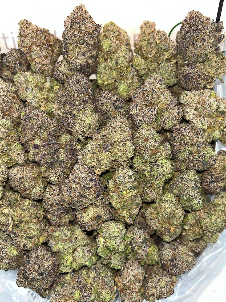 Strawberry Kiwi