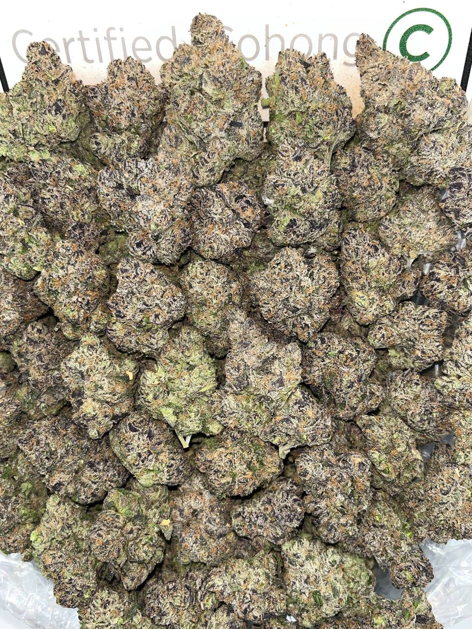 Super Crackdaddy