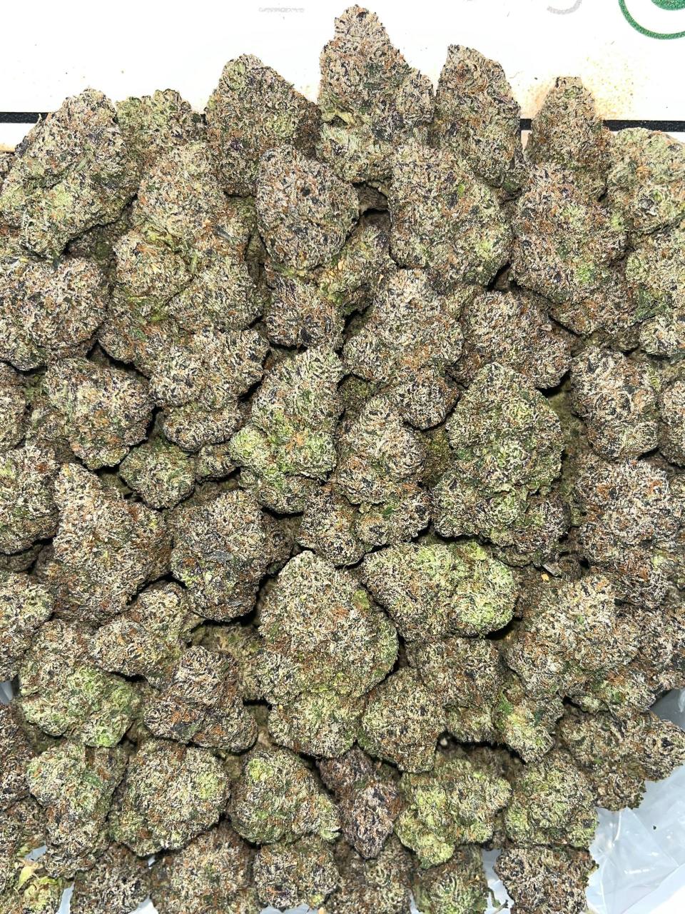 Watermelon Paradise